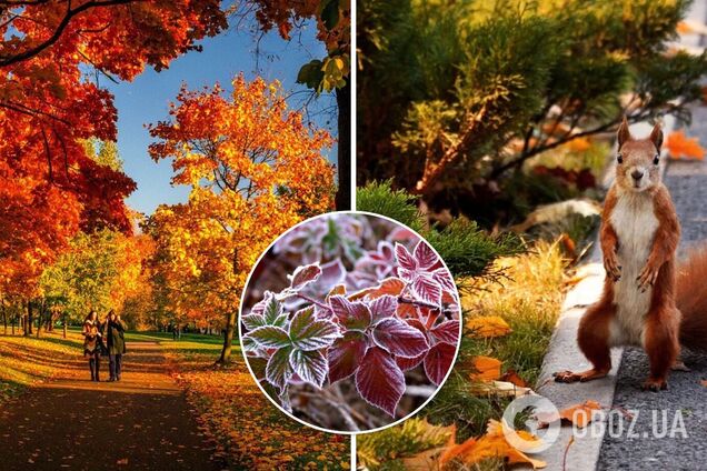 До 18 тепла и заморозки -3: каким будет последний день сентября