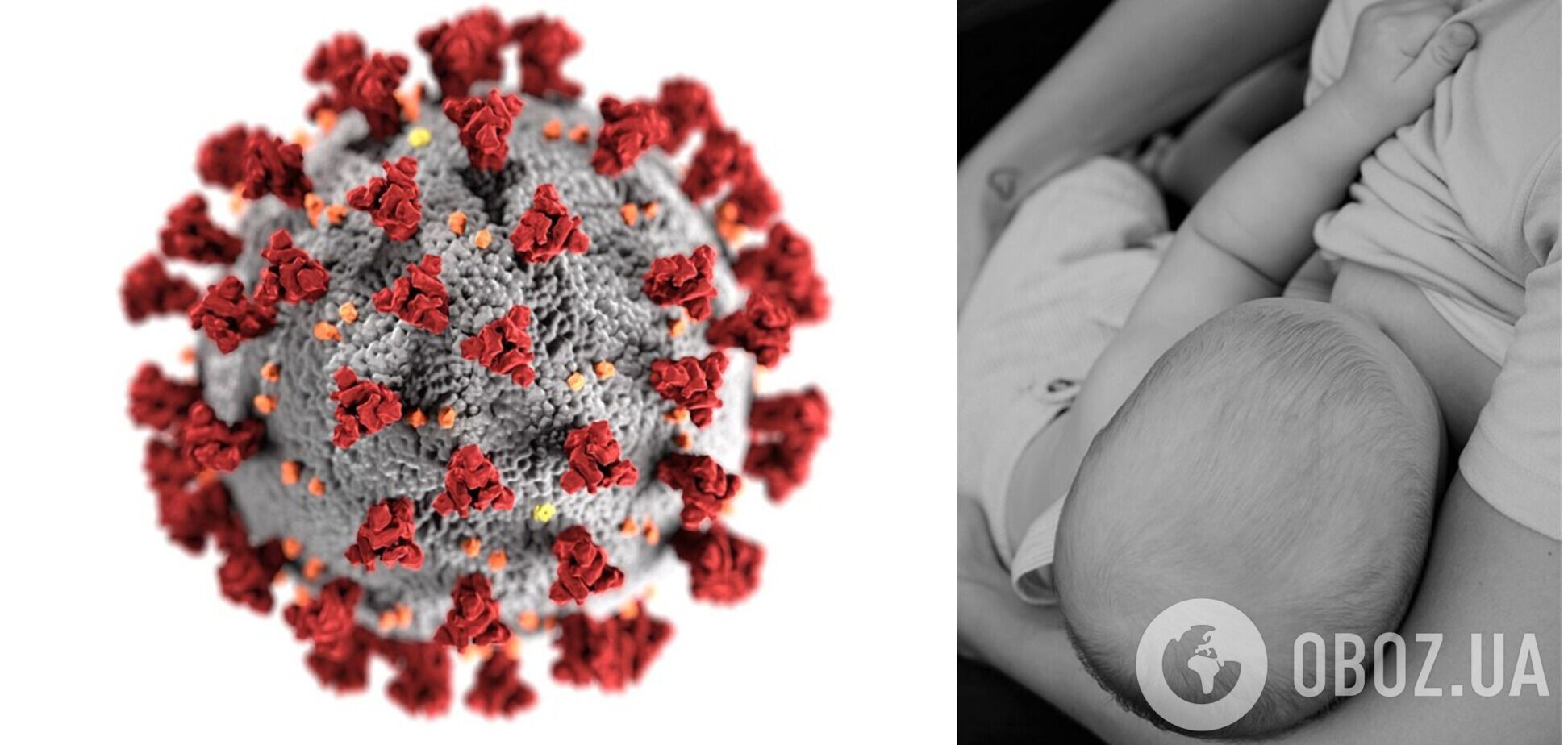 Антитіла були присутні в грудному молоці до 10 місяців після зараження матері