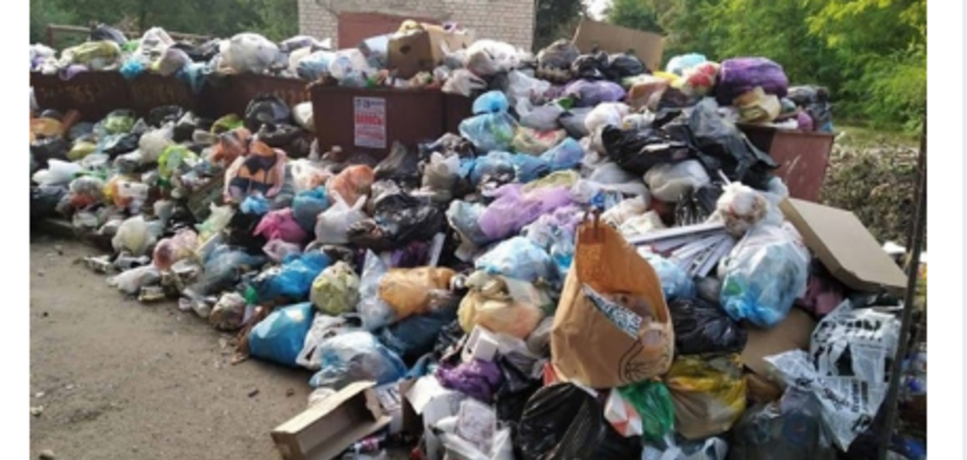 Голодное лицо 'русского мира': битва у мусорных баков