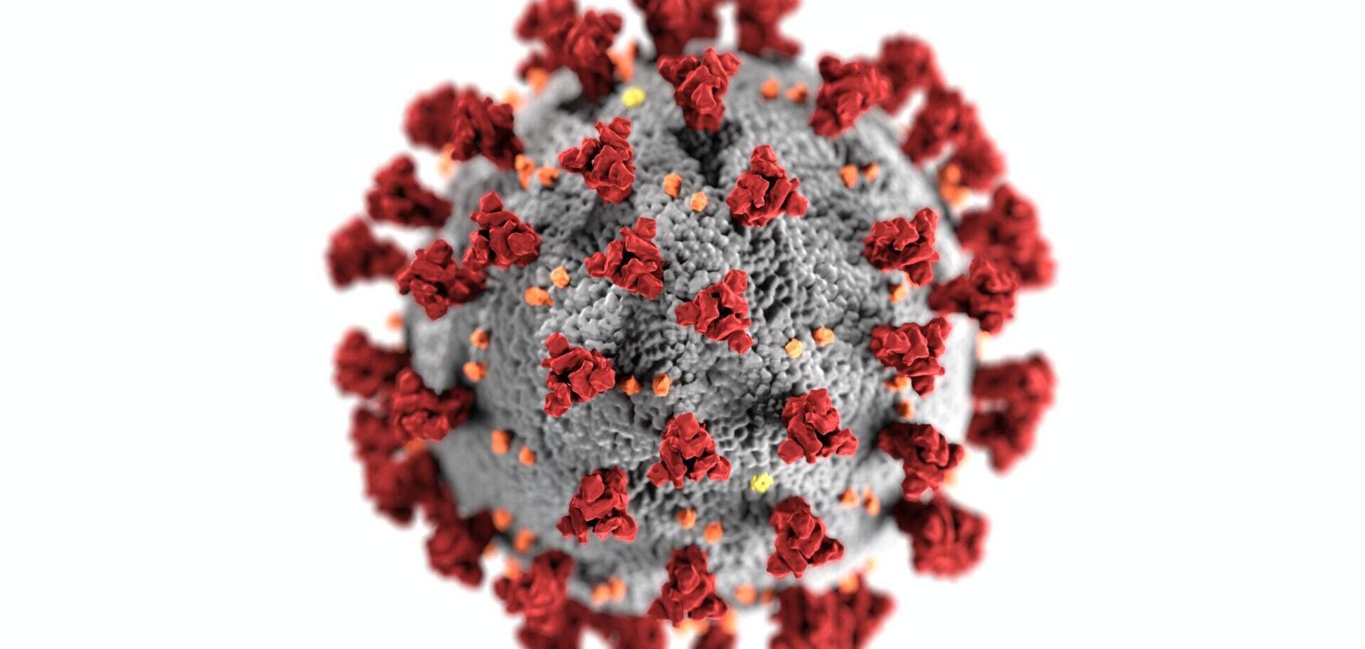 Вірус SARS-CoV-2