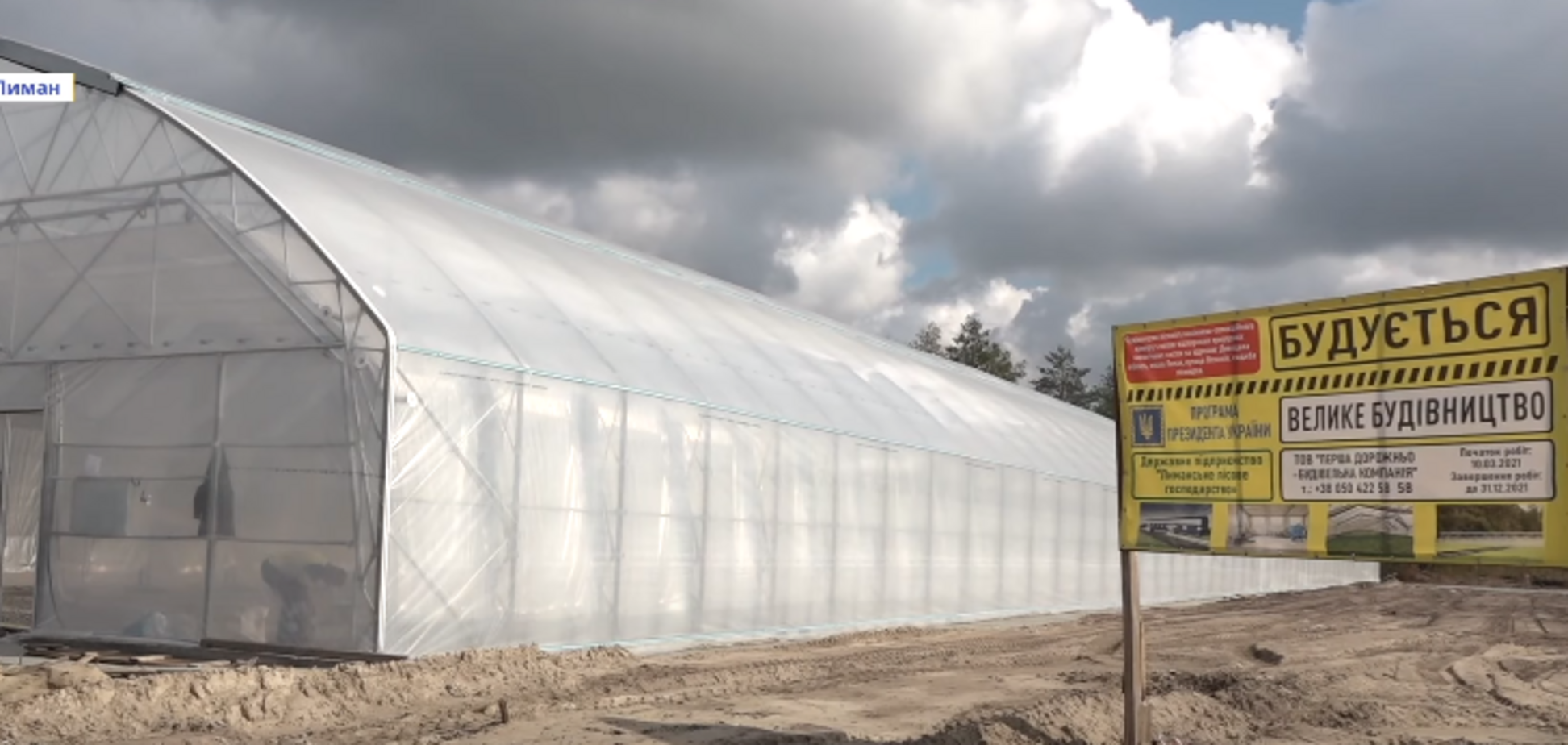 'Большая стройка': на Донбассе создают центр для выращивания 300 га леса ежегодно