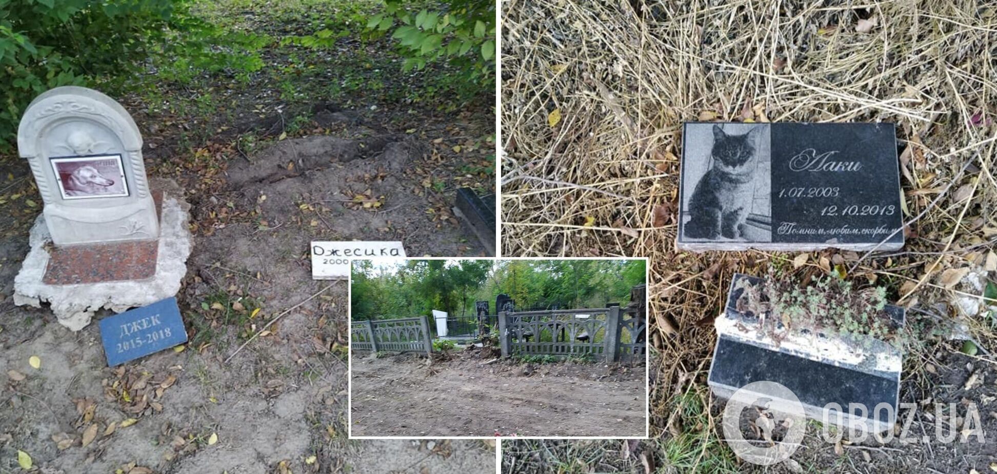 У Дніпрі комунальники зруйнували кладовище домашніх тварин: люди обурені. Фото