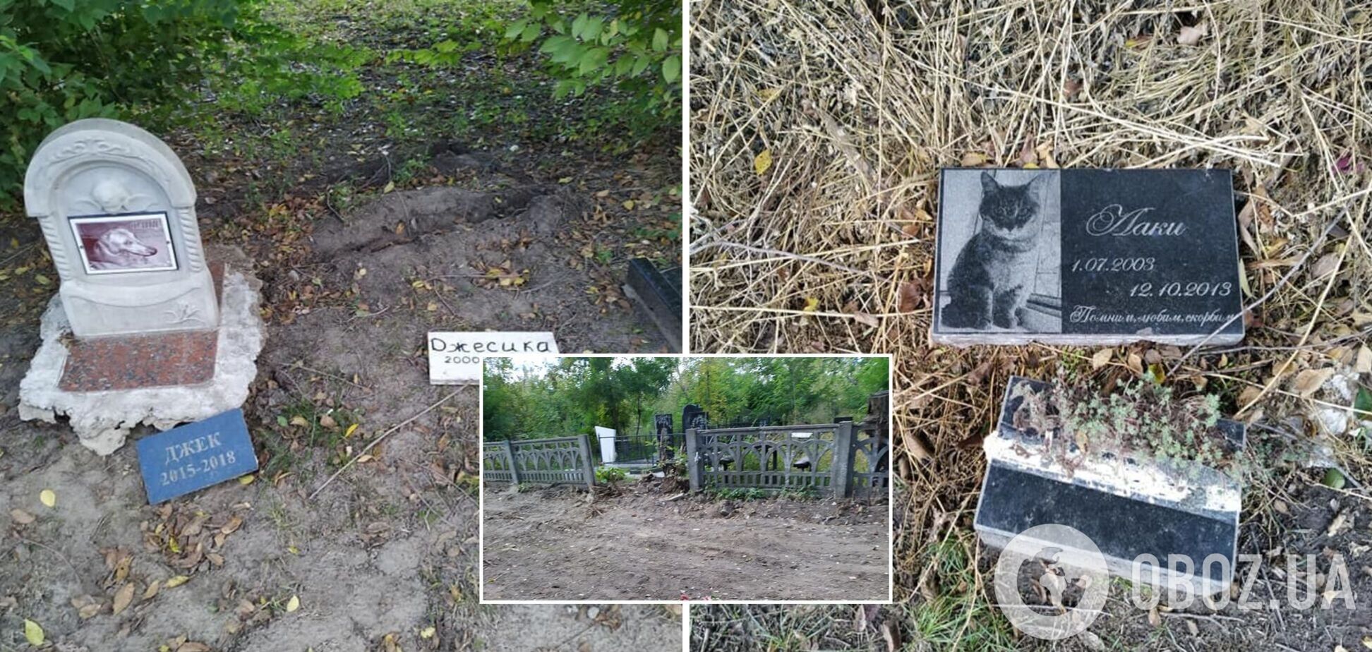 В Днепре коммунальщики разрушили кладбище домашних животных: люди возмущены. Фото