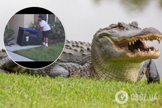 У США чоловік засунув 2-метрового алігатора у сміттєвий бак і став зіркою мережі. Відео