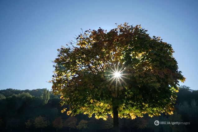 В Україну увірветься тепло до +20: синоптики дали прогноз на початок жовтня
