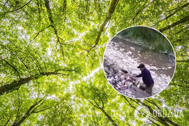 Стихийный выброс мусора на Закарпатье