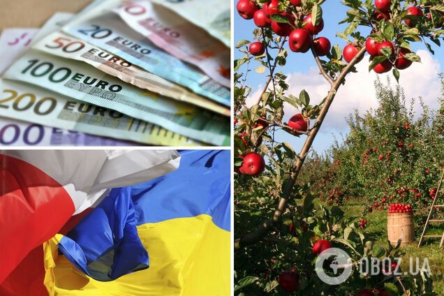 Заробітчани не їдуть до Польщі на збір яблук