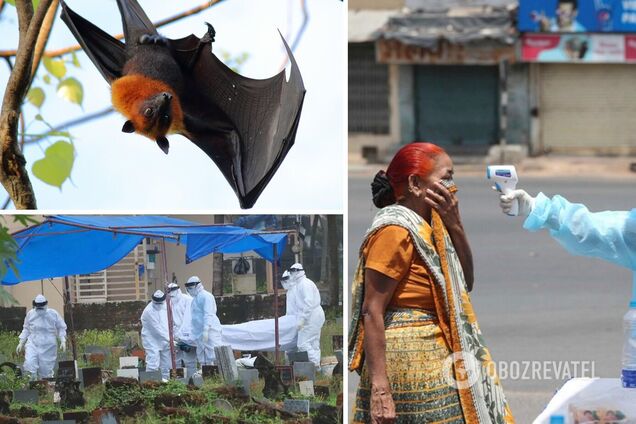 В Индии симптомы смертельно опасного вируса Nipah обнаружили у 11 человек: что известно об инфекции