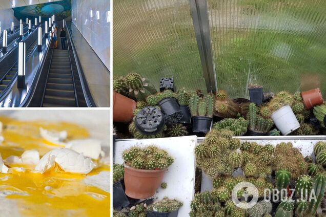 Пользователи Reddit поделились своими неудачами