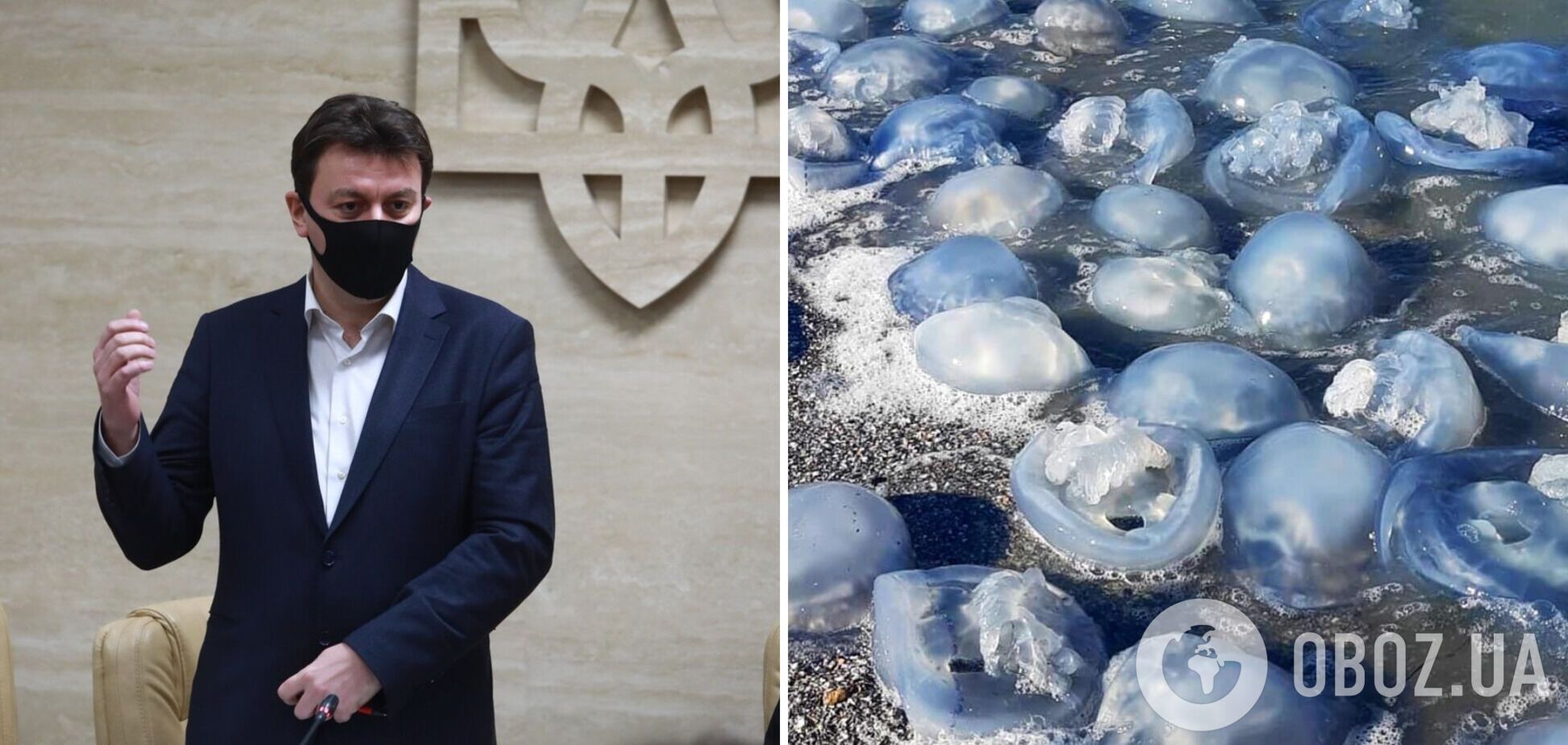 Глава Запорізької ОДА запропонував подати в суд на Росію через зіпсований медузами відпочинок українців