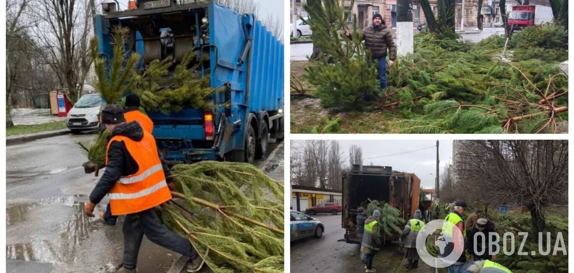 В Одессе торговцы выбросили тысячи непроданных елок посреди улицы. Фото