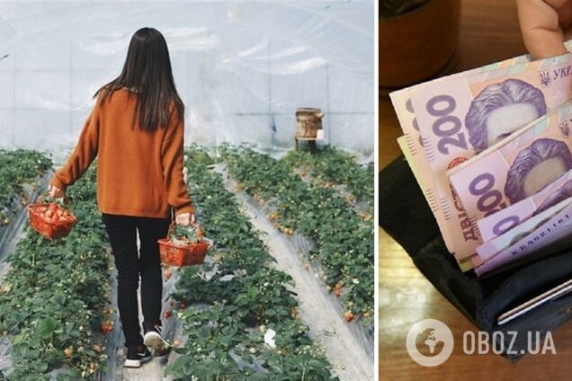 Високі ціни на енергоносії змусять тепличні господарства підвищувати ціни на свою продукцію