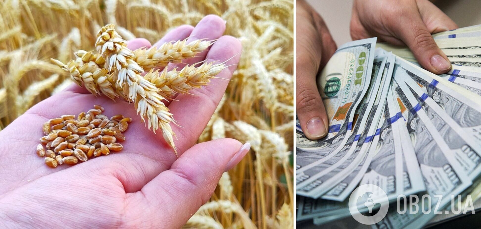 Украина увеличила экспорт агропродукции на 25%