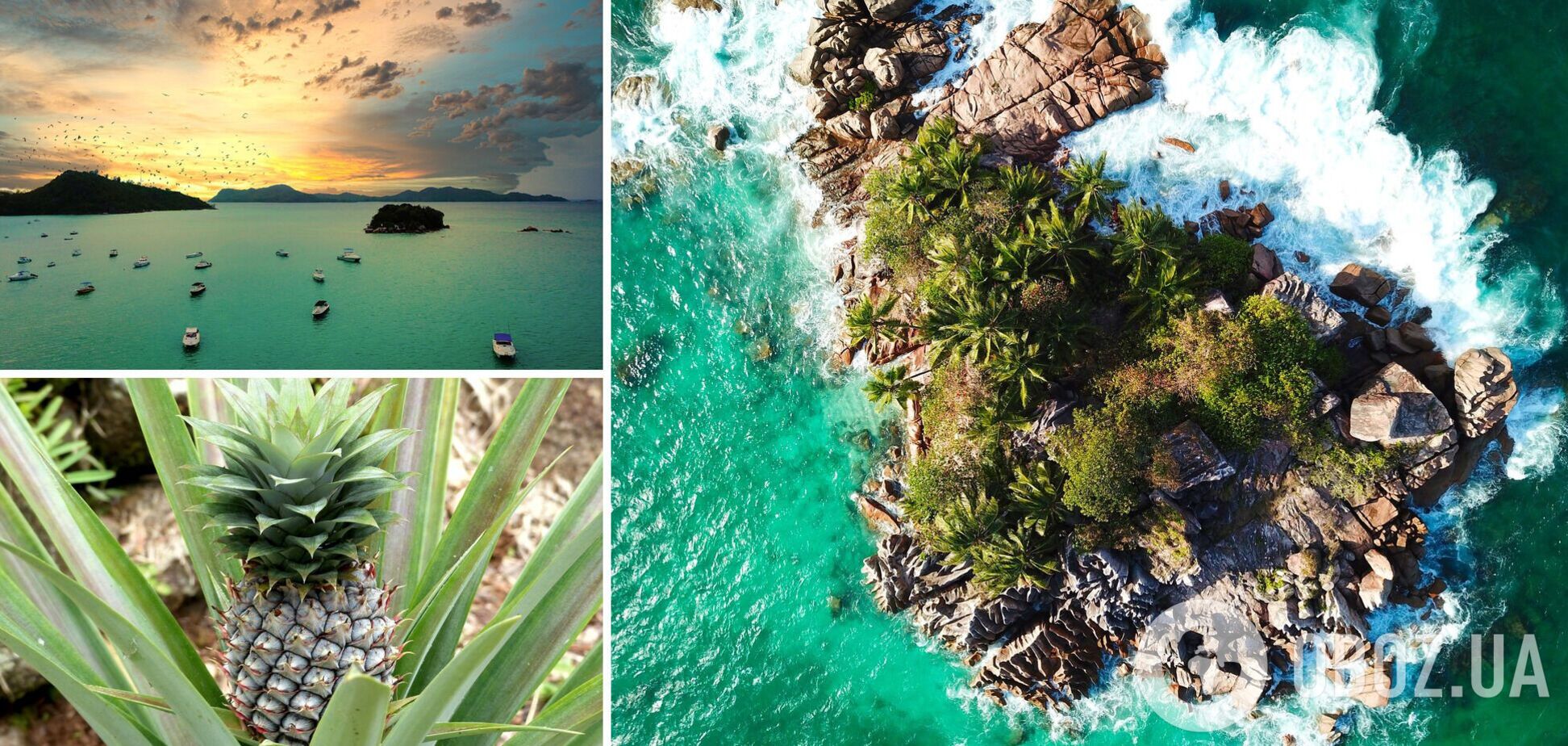 Перезимувати на Сейшелах: чи 'страшні' ціни на райських островах