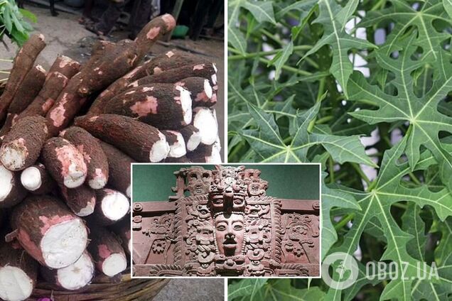 Крах цивілізації майя викликала не посуха – вчені