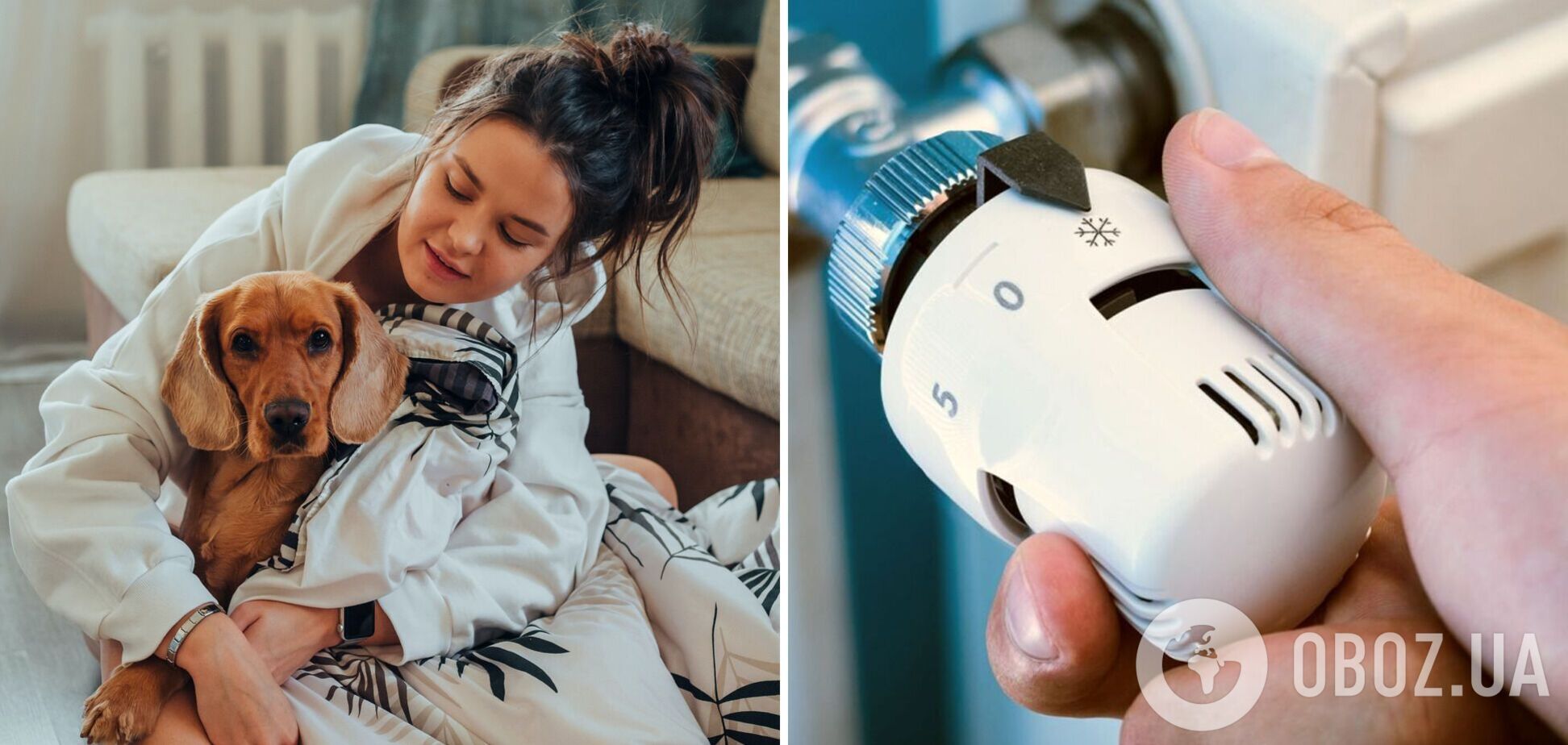 В Британии рекомендуют экономить, обнимая питомцев