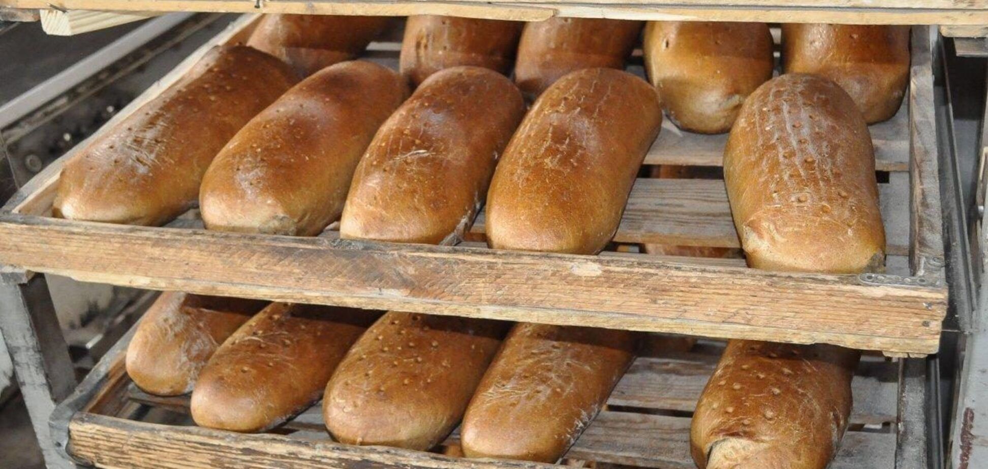 У виробників хліба катастрофа, в Україні може повторитись 'казахстанський сценарій', – голова 'Укрхлібпрому'