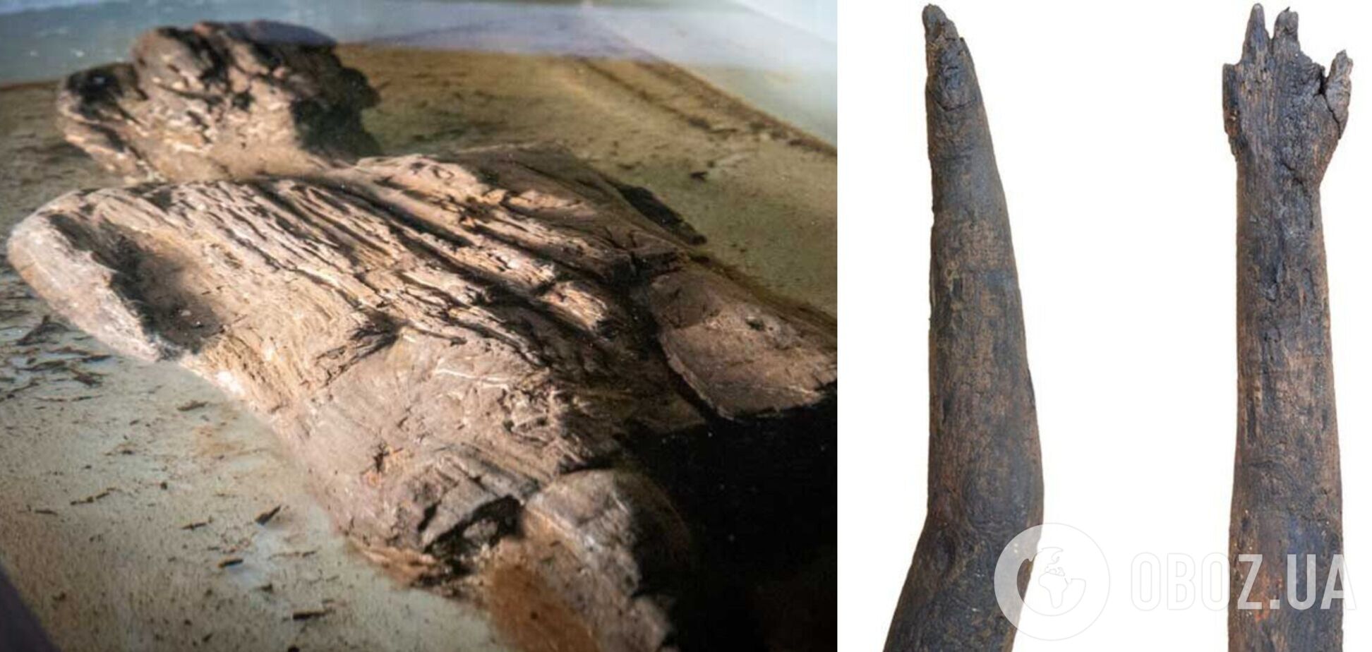 У Британії під час розкопок виявили давньоримську фігурку з дерева, що збереглася дивом. Фото