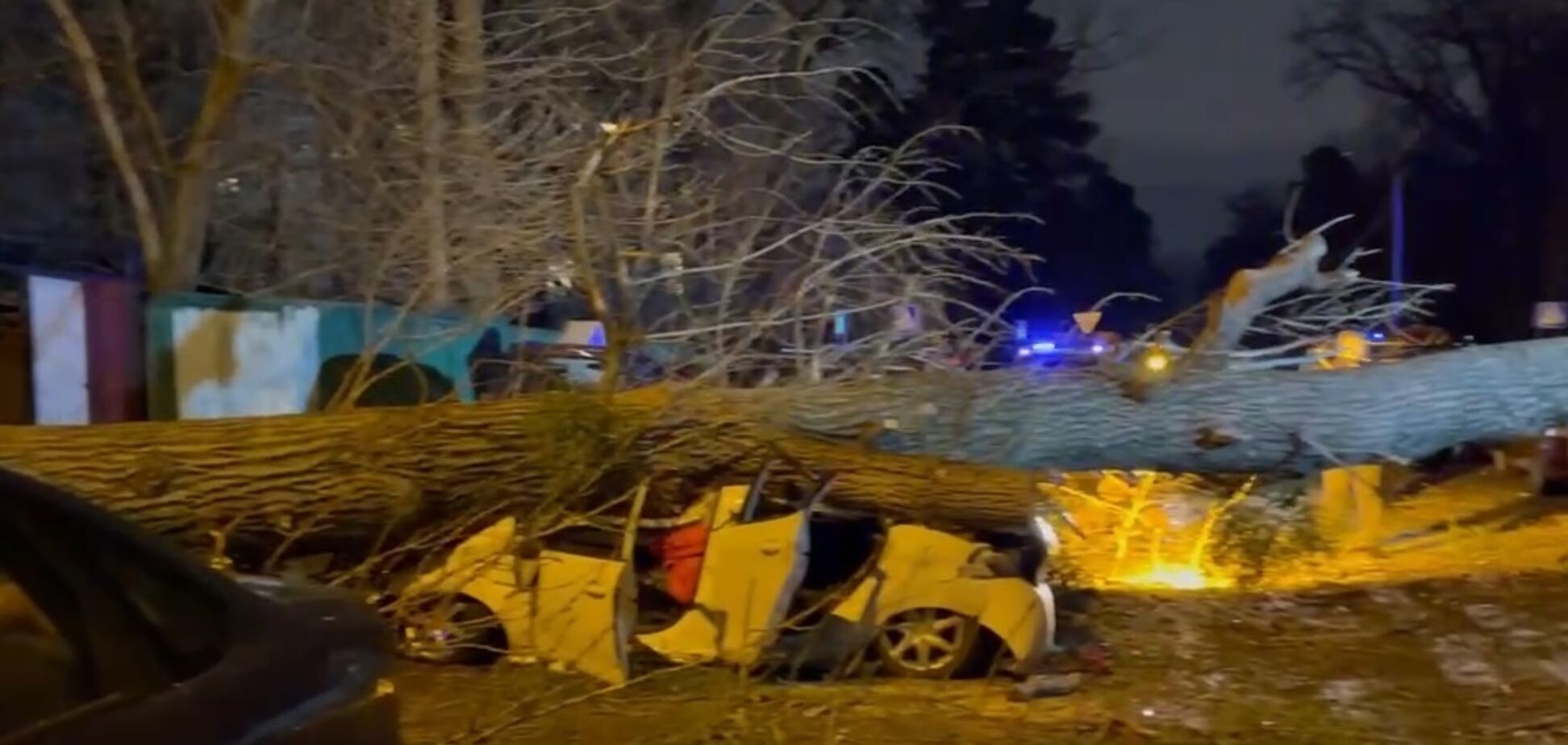 В Киеве деревья падали на машины, есть жертва