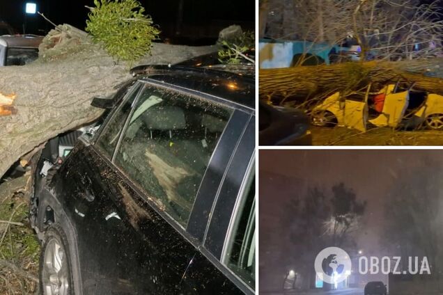 Ураганный ветер валил деревья, а в Киеве жертвой непогоды стал человек. Фото и видео