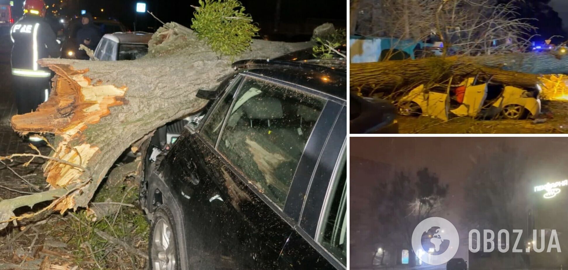 Ураганный ветер валил деревья, а в Киеве жертвой непогоды стал человек. Фото и видео