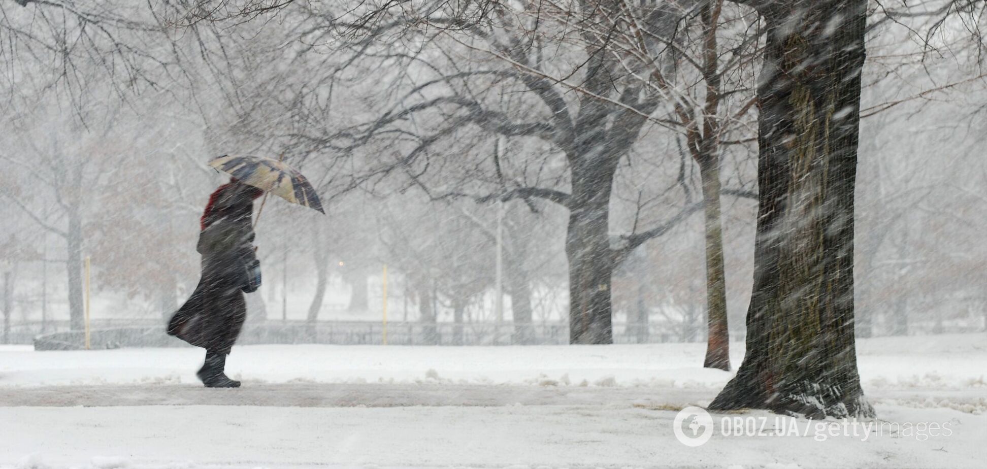 Часть Украины накроет снегом, на дорогах гололедица: синоптики дали прогноз погоды на субботу. Карта