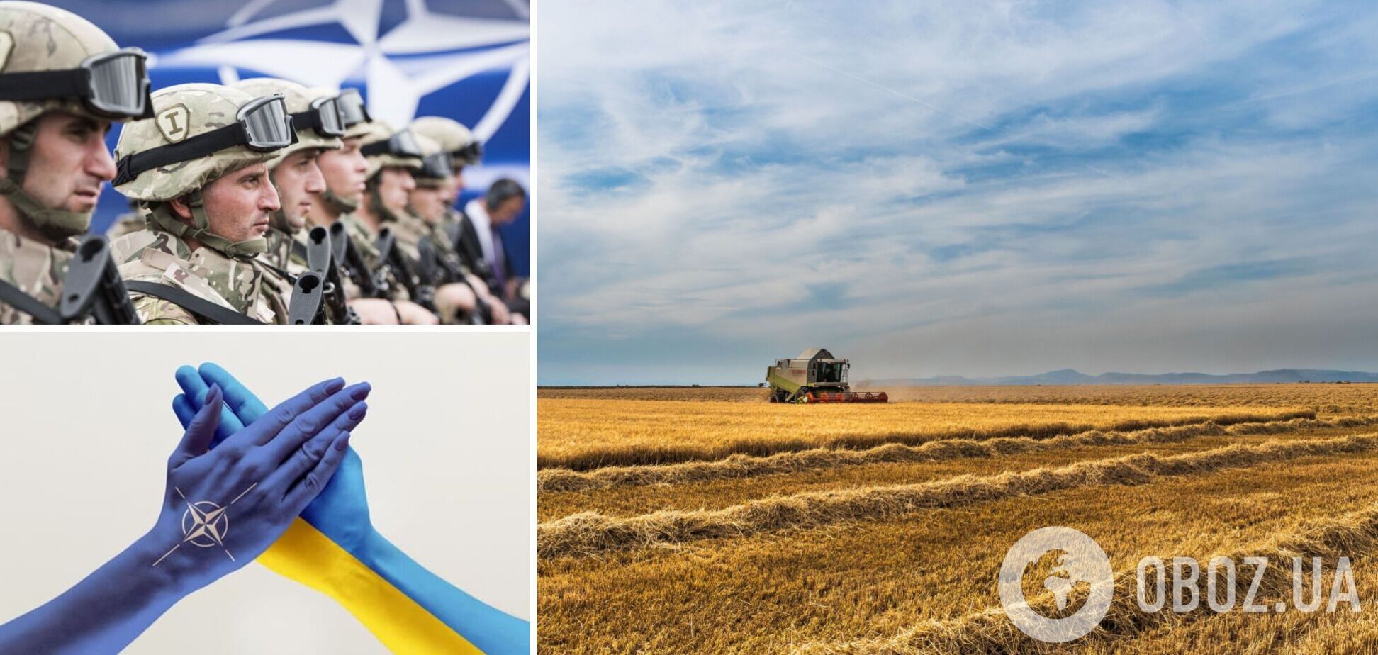 Українці готові віддати земельні ділянки для військових НАТО