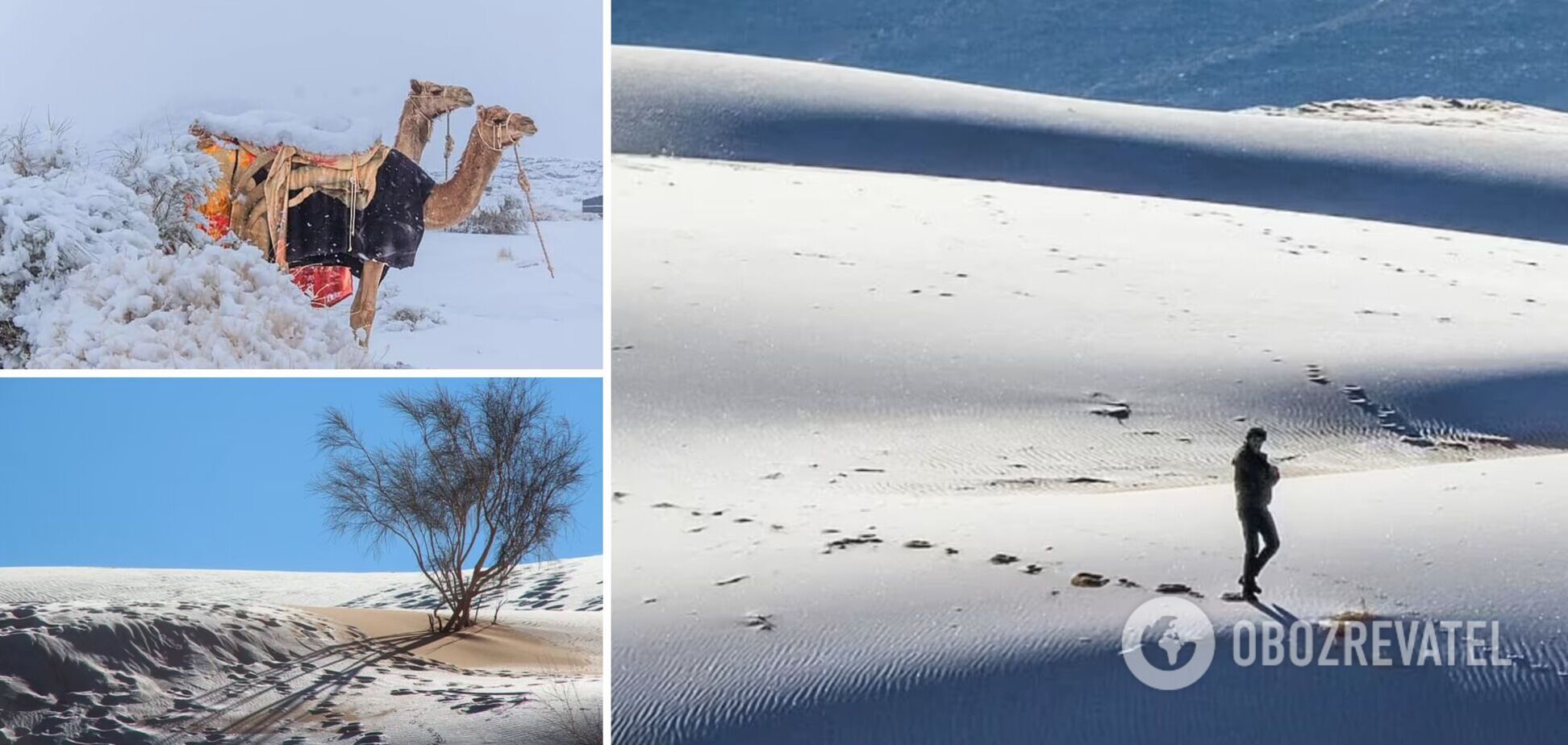 У Сахарі випав сніг, дюни покрило льодом: фото рідкісного явища