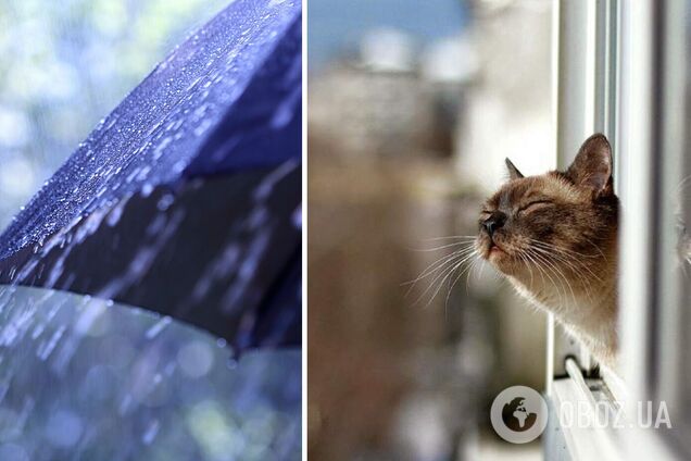 В Украину ворвется потепление, но с дождями: синоптики дали прогноз на начало недели. Карта