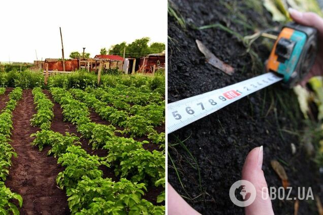 В Украине упростят правила покупки огородов: депутаты предварительно дали добро