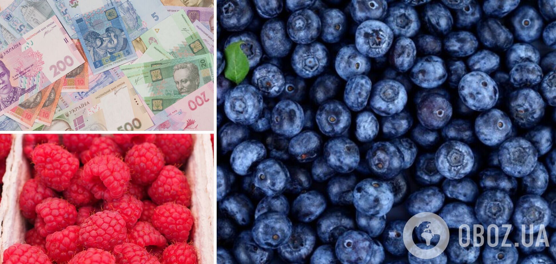 Ціни на малину та лохину в Україні впадуть