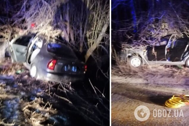 На Черкасщине машина влетела в дерево: четверо погибших, один парень в коме. Фото