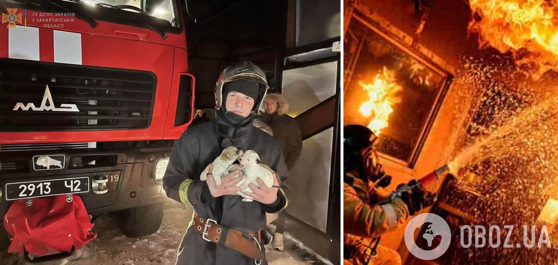 На Закарпатті рятувальники винесли з пожежі чотирьох цуценят