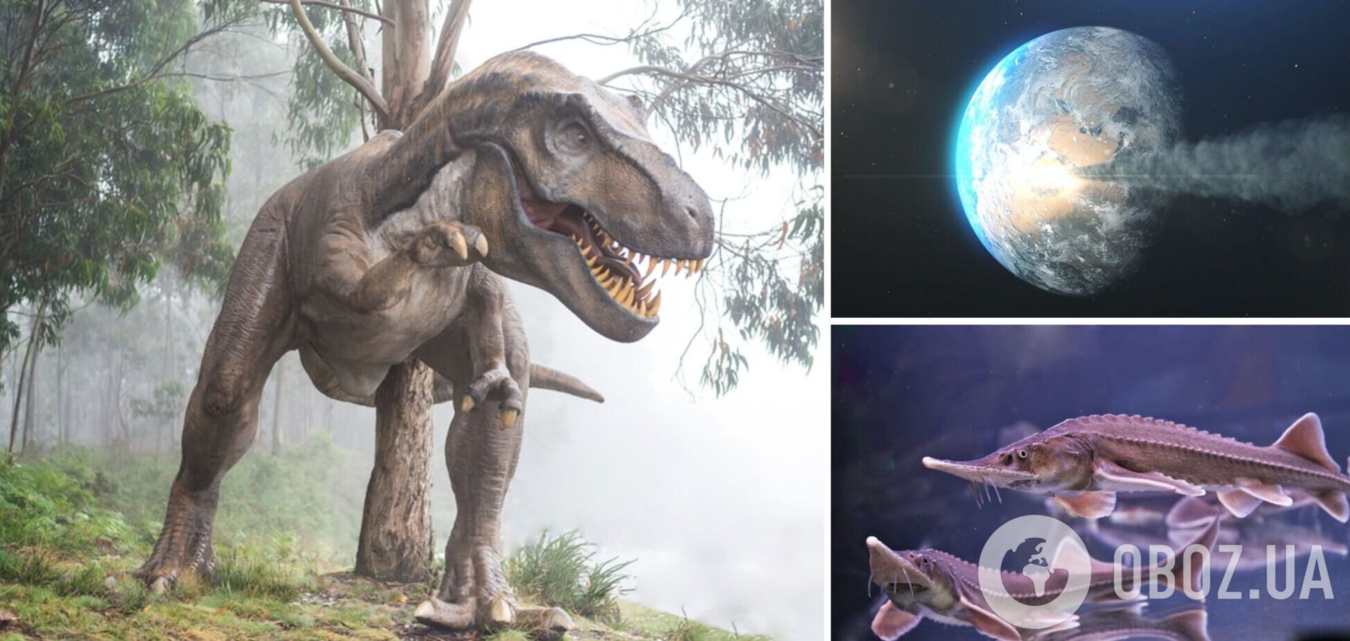 Ученые определили возможное время гибели динозавров