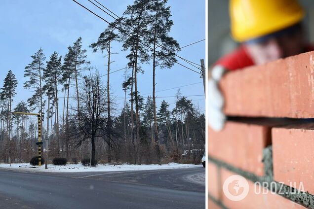 У Бучі вирубують дерева заради нових висоток: міськрада затвердила новий Генплан міста