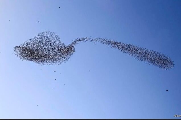 Ложка в небі. В Ізраїлі фотограф зафіксував унікальне явище
