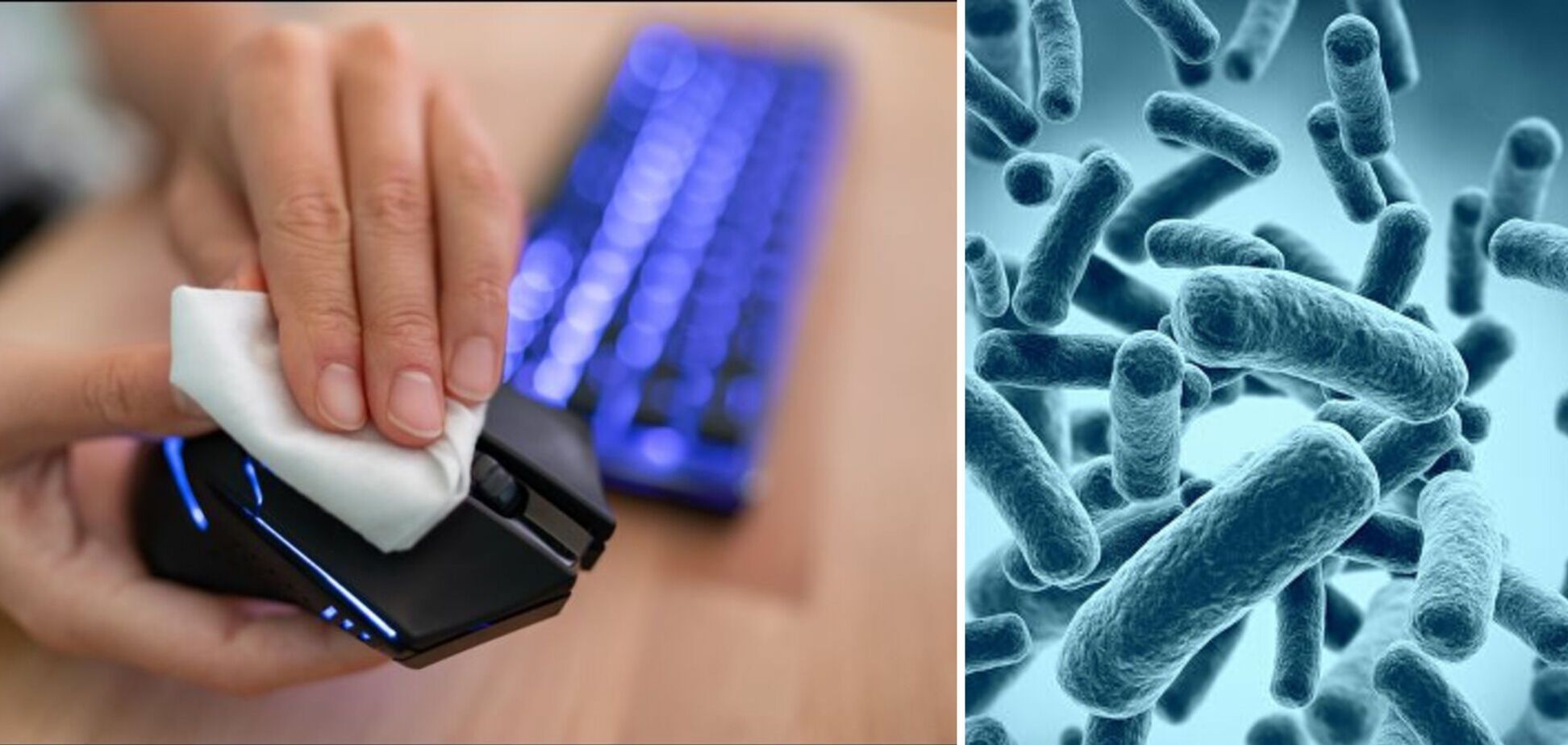 Вчені заявили, що на комп'ютерній миші більше бактерій, ніж на сидінні унітазу