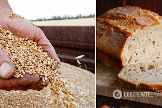 Україна наростила продаж зерна