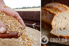 Украина нарастила продажу зерна