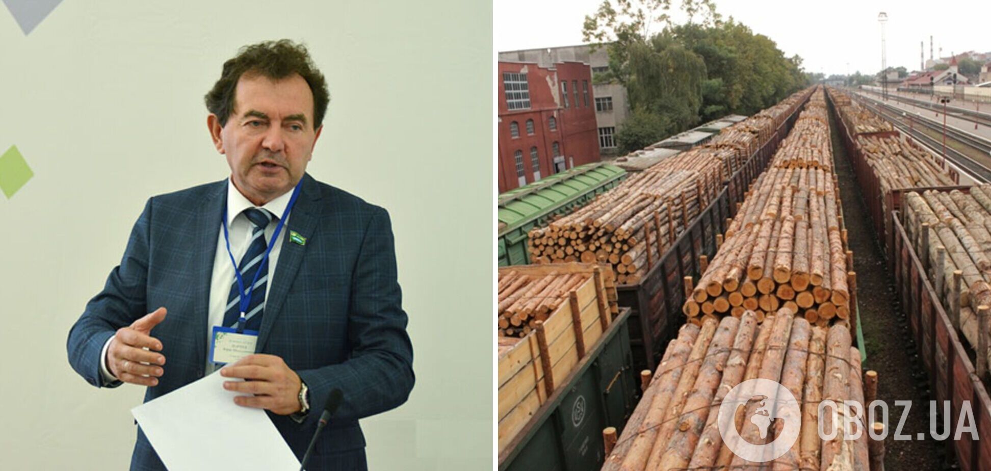 Если снять мораторий на экспорт древесины, то украинские предприятия получат дефицит сырья – эксперт