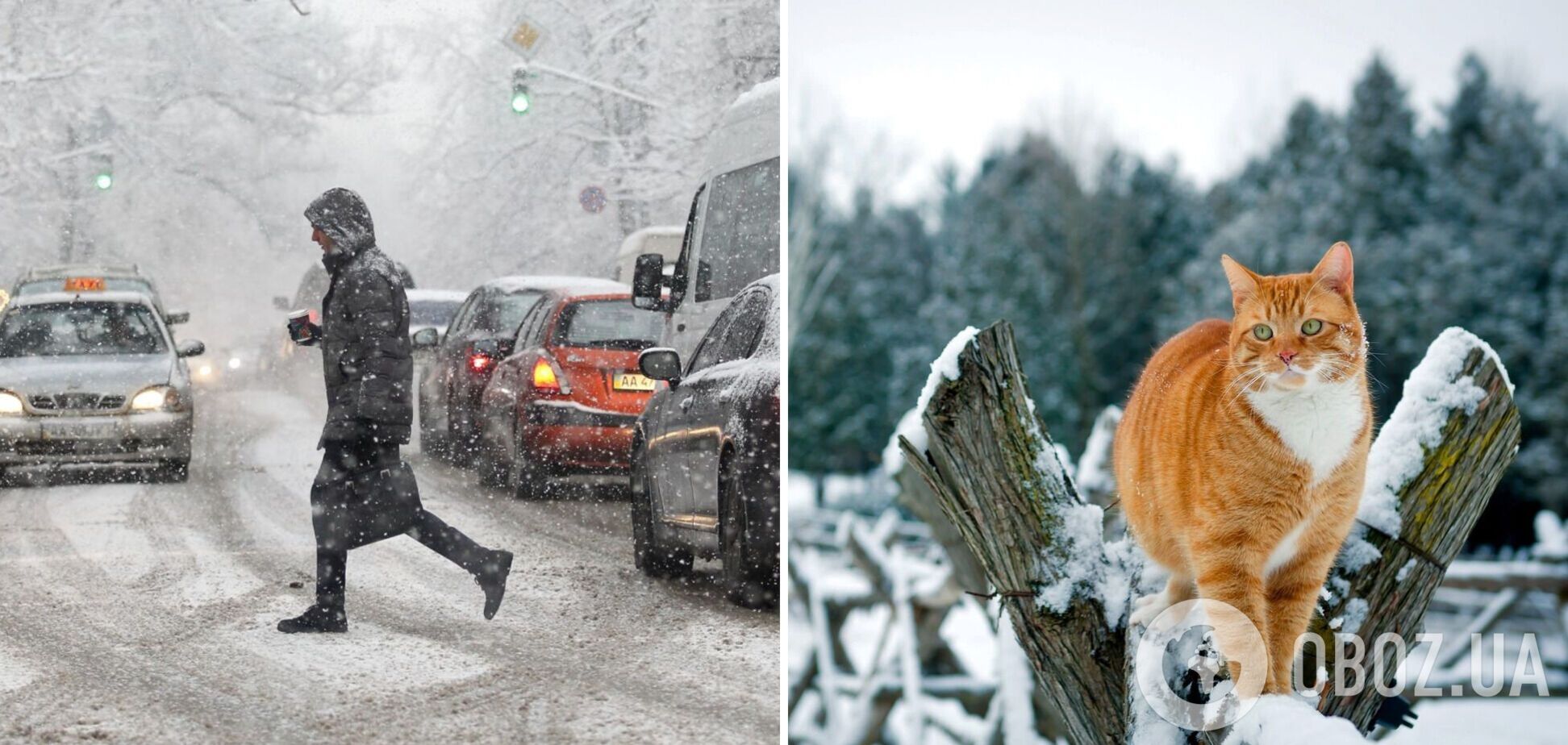 В Україні різко погіршиться погода: на дорогах буде небезпечно через сильні снігопади