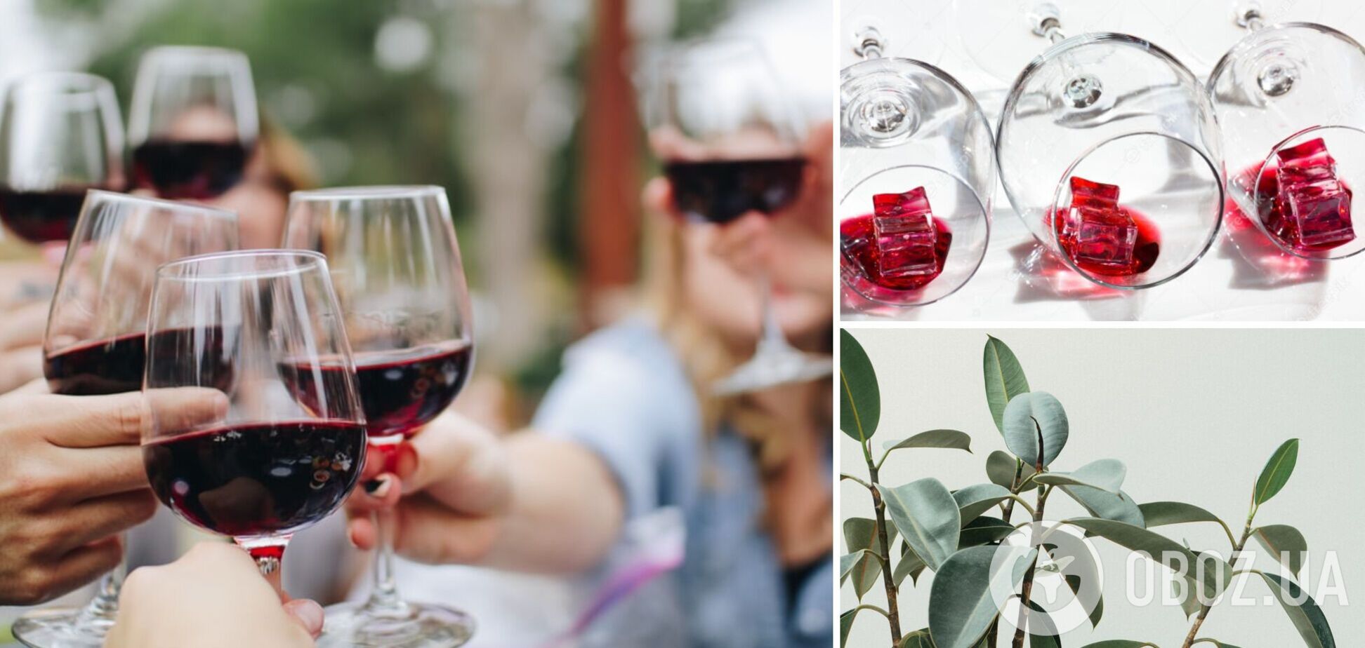 Шесть неожиданных способов использования вина: советы для хозяек