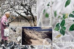 Сніг, ожеледь і небезпека лавин: синоптики уточнили прогноз погоди на 10 січня