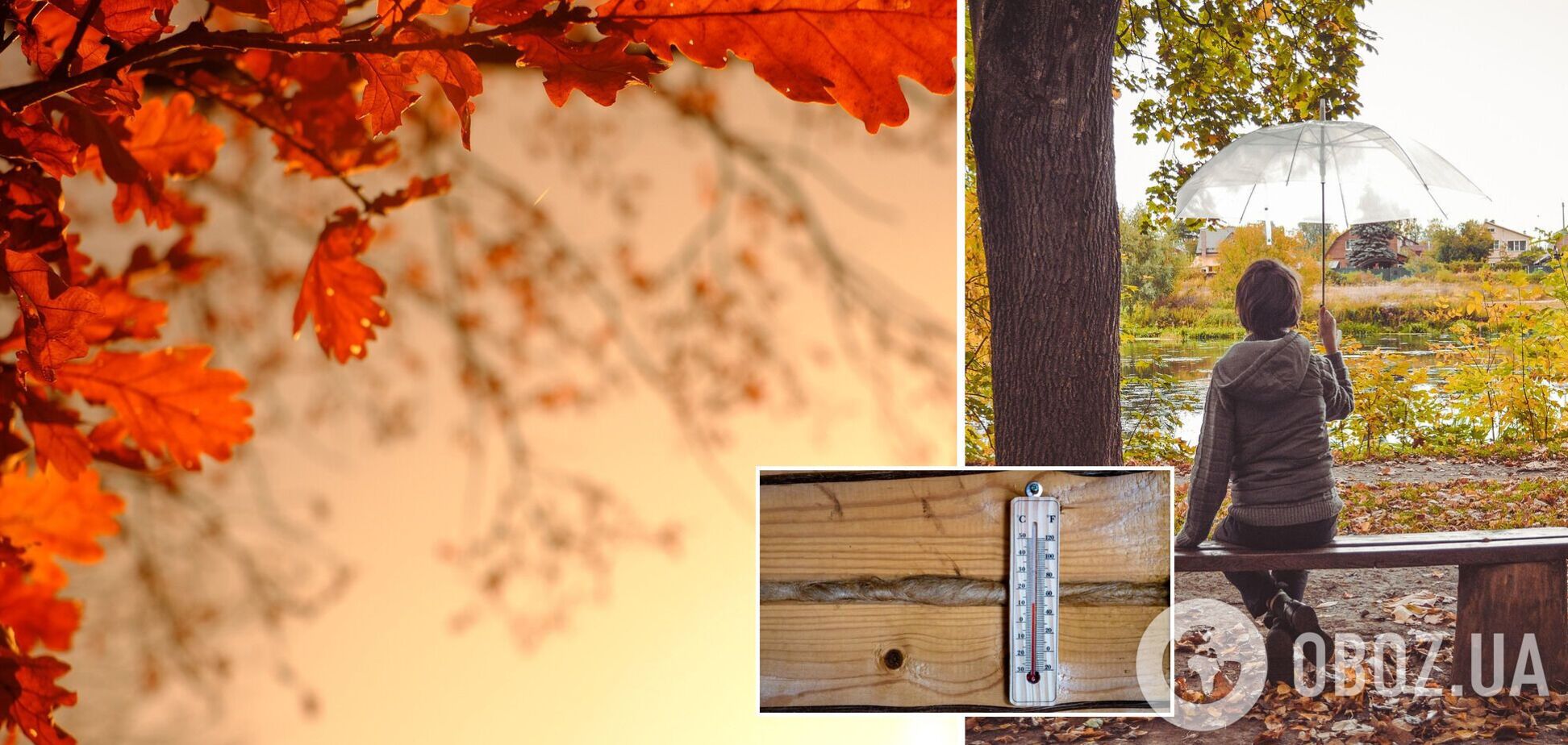 Октябрь начнется туманами и дождями: прогноз синоптиков на субботу