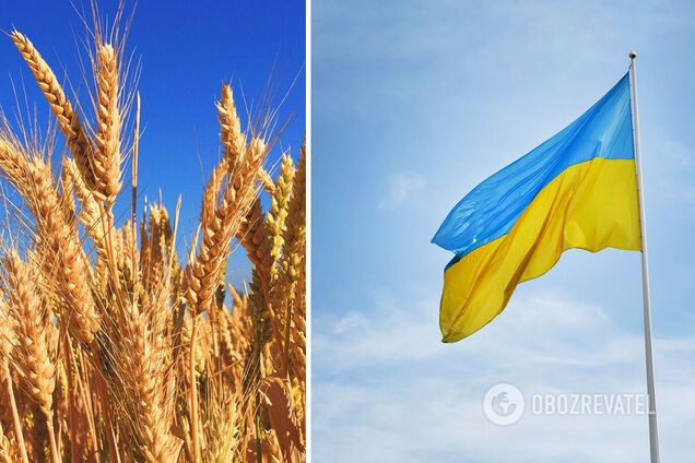 Украина нарастила экспорт зерна
