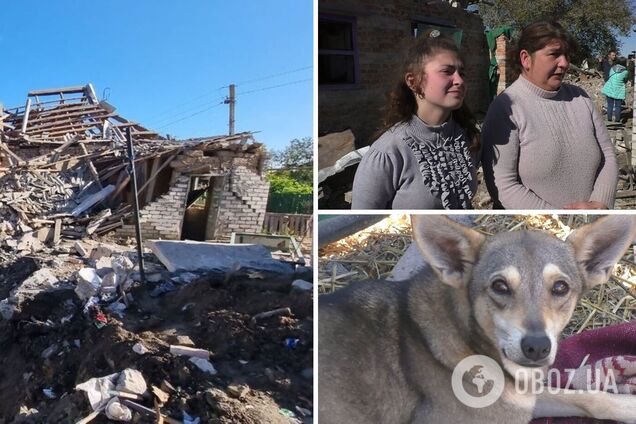 В Запорожье пес спас жизнь целой семьи во время ракетных ударов, 'известив' об угрозе. Видео