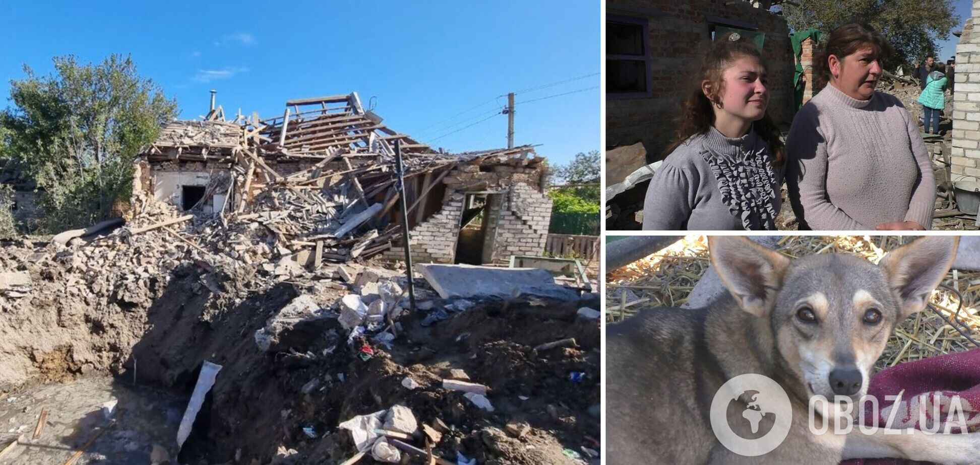 На Запоріжжі пес врятував життя цілої родини під час ракетних ударів, 'сповістивши' про загрозу. Відео 
