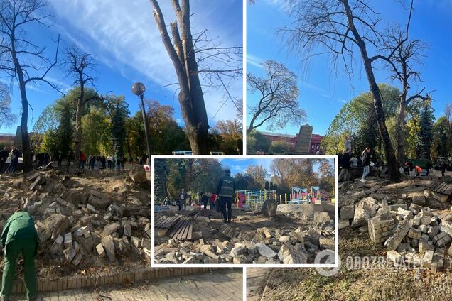 У парку почали працювати спеціалісти 'Київзеленбуду'