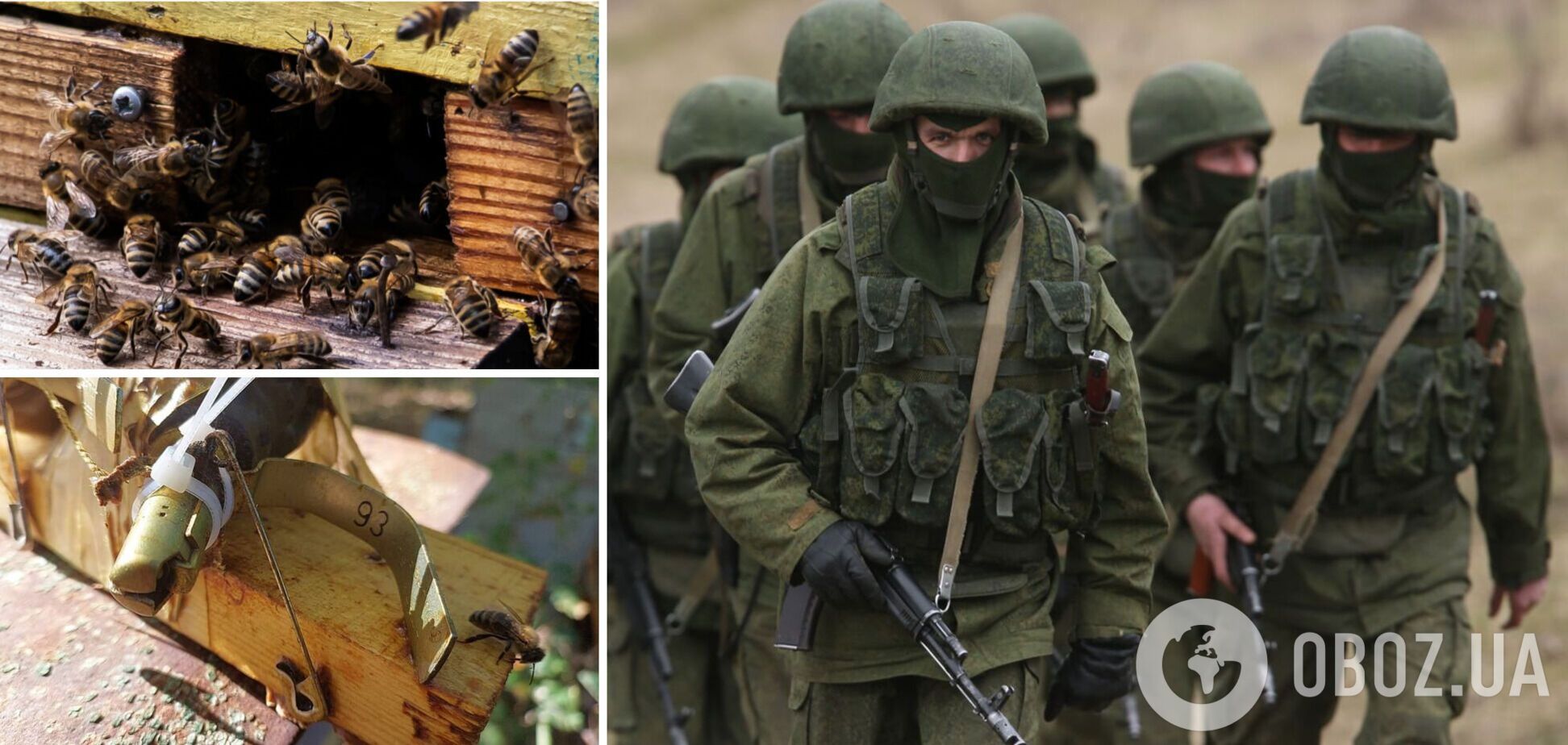 Бджоли залили медом запали гранат