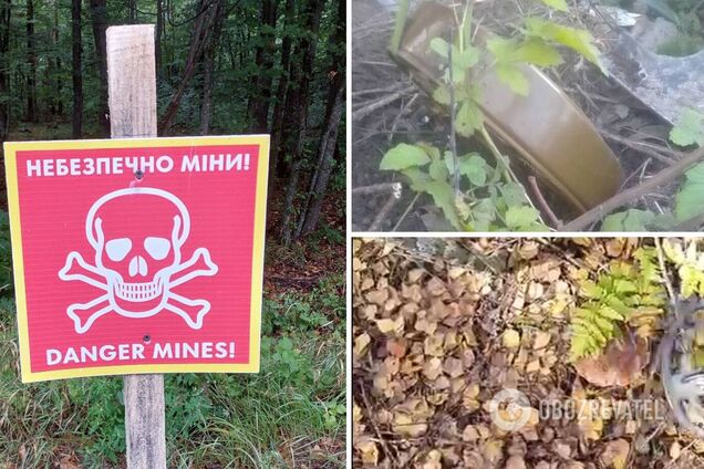 У лісах Київщини все ще небезпечно ходити